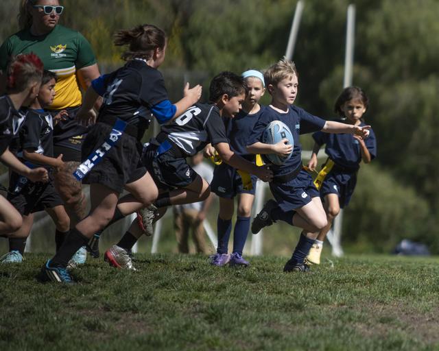 Young Stingrays players chase a ball carrier during a game of flag rugby